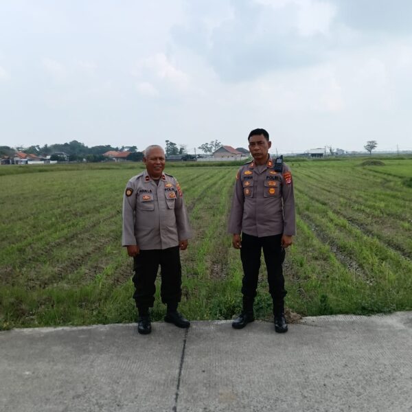 Kapolsek Kronjo Sambangi Petani, Pantau Pertumbuhan Bibit Jagung Program Gerakan Wangsakara