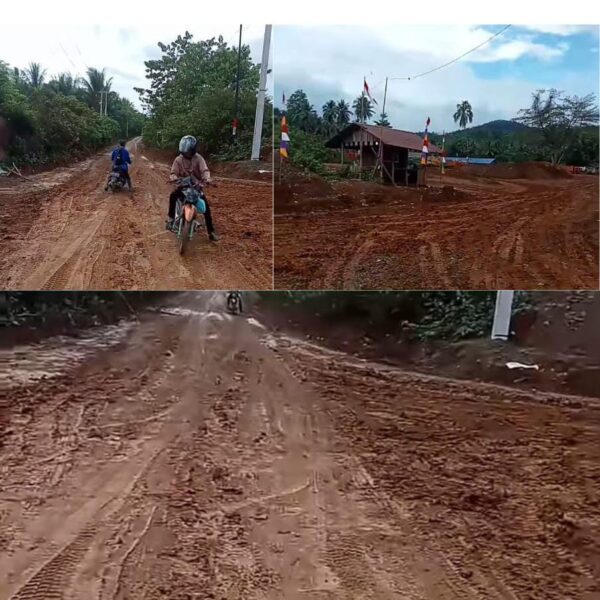 Diduga Perusahaan Tambang Di Siuna Abaikan Keselamatan Pengguna jalan, Buktinya Jalan Licin Dan Berlumpur, Diminta Bupati Banggai Tidak Membisu.