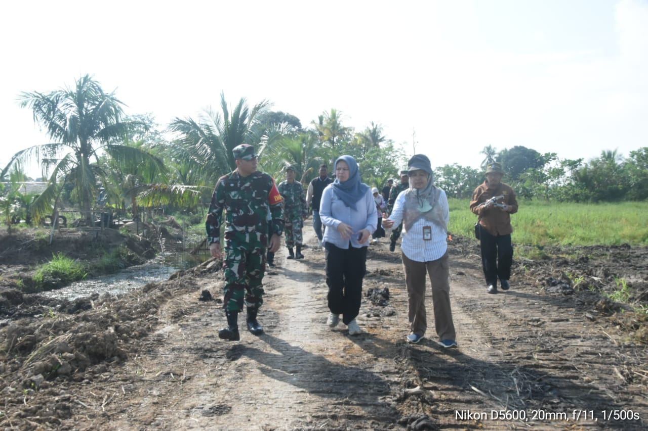 Sinergi Kementan dan TNI, Tim Was Dirjen PSP Pantau Program Cetak Sawah di HST