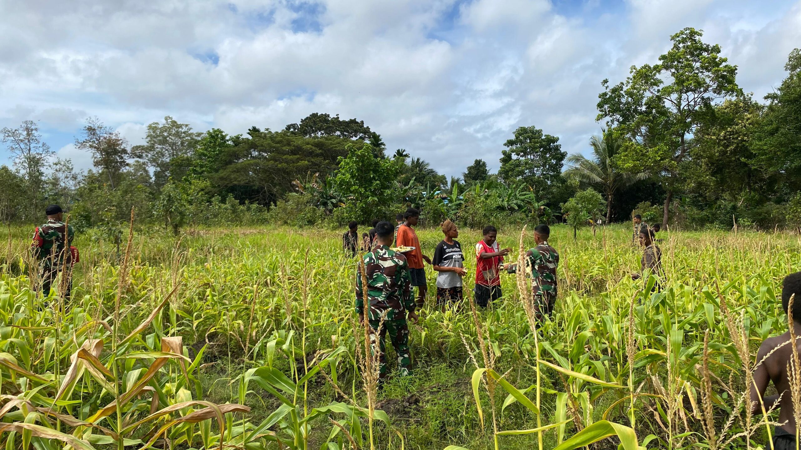 Jagung Melimpah, Persaudaraan Kian Erat di Rawabiru