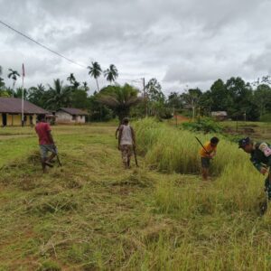 Karya Bakti Merah Putih Satgas Yonif 126/KC: Menyemai Harapan di SD Kampung Umap Karya Bakti Merah Putih Satgas Yonif 126/KC: Menyemai Harapan di SD Kampung Umap