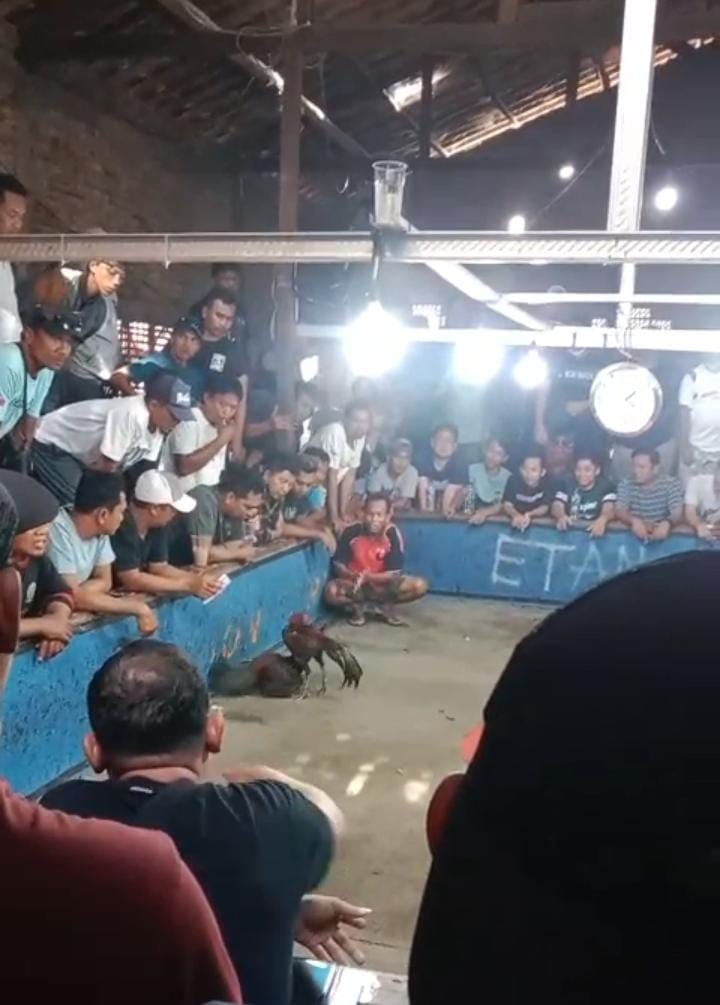 Arena Perjudian Terbuka di Grobogan: Publik Pertanyakan Keberanian APH Bertindak