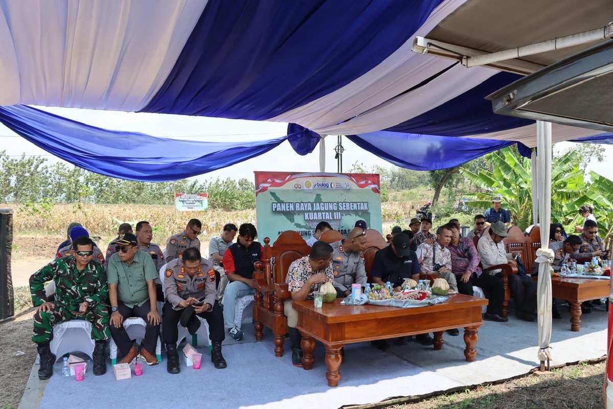 Panen Raya Jagung Kuartal III Tahun 2025, Polres Kendal Perkuat Ketahanan Pangan Nasional*