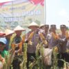 Dukung Swasembada Pangan Nasional, Polres Probolinggo Panen Jagung di Desa Alas Sapi