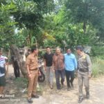 Pendampingan Penanganan ODGJ di Prambon, Polres Nganjuk Tekankan Dampak Sosial dan Kamtibmas