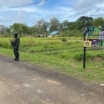 Panen Raya Jagung: TNI dan Warga Rawabiru Wujudkan Swasembada Pangan Panen Raya Jagung: TNI dan Warga Rawabiru Wujudkan Swasembada Pangan