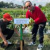 Bakti Sosial Dan Senam Bersama, Warnai Acara Tanam Pohon Dan Sebar Bibit Nila Di Lahan Integrated Farming Kodim 0808 Blitar Bakti Sosial Dan Senam Bersama, Warnai Acara Tanam Pohon Dan Sebar Bibit Nila Di Lahan Integrated Farming Kodim 0808 Blitar