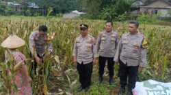 Polres Salatiga Gelar Panen Raya Jagung Kwartal III, Dukung Swasembada Pangan Nasional