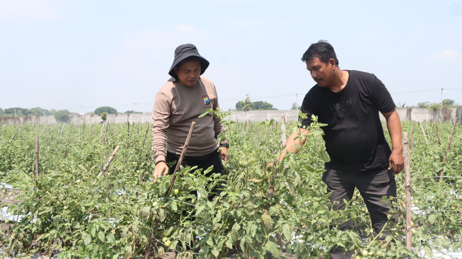 Polres Nganjuk Dorong Ketahanan Pangan Lewat Program “Desa Tangguh Pangan”
