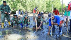 Lestarikan Pantai, Satgas TMMD Kodim 1505/Tidore Galakkan Penanaman Mangrove di Oba Selatan
