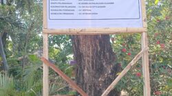 Lalai Terapkan K3, Proyek DLH Kota Probolinggo Jadi Sorotan Publik