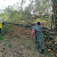 Babinsa Kelurahan Bence Ajak Warga Bersihkan Ranting Bambu Yang Menutupi Akses Jalan Persawahan