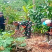 Dukung Penghijauan, Babinsa Garum Bersama Gapoktan Dan Warga Tanam Pohon Mahoni