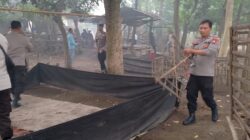 Dapat Laporan Warga, Polres Probolinggo Kota Bongkar Arena Judi Sabung Ayam di Tanjungrejo