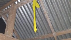 Polisi ke TKP Petani Paruh Baya Ditemukan Gantung Diri di Toili Barat