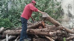 Kayu Proyek Revitalisasi Alun-alun Probolinggo Kota Diduga Raib, GMPP Probolinggo Laporkan ke Polisi