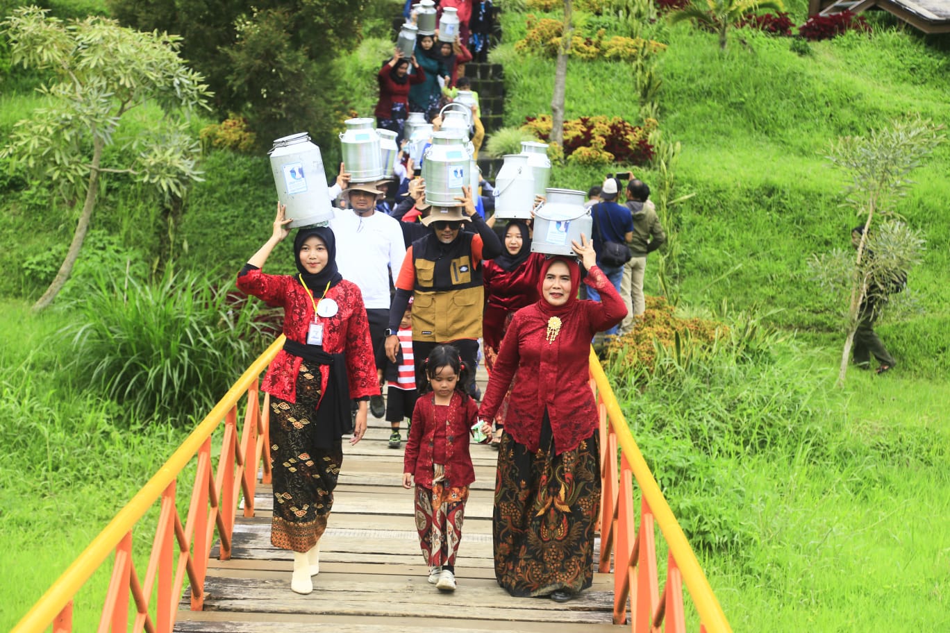 Tradisi Nyunggi Susu Jadi Magnet Wisata Baru, Produksi Susu Krucil Tembus 29 Ribu Liter per Hari