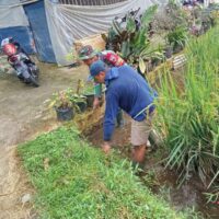 Babinsa Desa Kalimanis Dampingi Program TNI Manunggal Air untuk Pengairan Sawah Warga