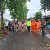 Tanggap Darurat, Polsek Ngronggot Gerak Cepat Atasi Pohon Tumbang yang Tutup Akses Jalan