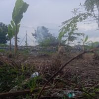 Program Ketahanan Pangan 2025 Desa Sukokerto Diduga Tumpang Tindih dengan Proyek Koperasi Merah Putih