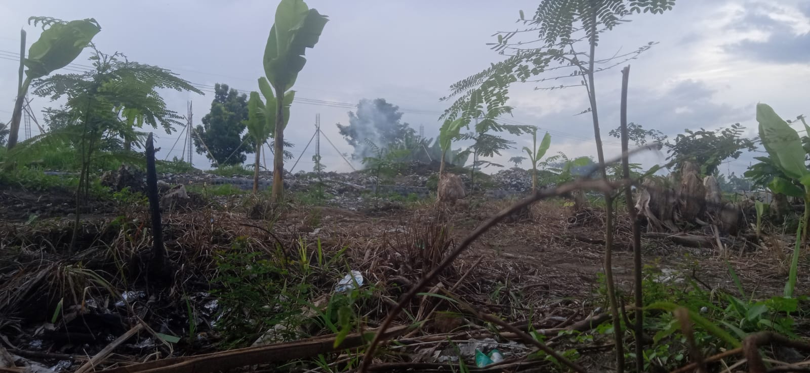 Program Ketahanan Pangan 2025 Desa Sukokerto Diduga Tumpang Tindih dengan Proyek Koperasi Merah Putih