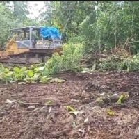 Dari Madiun untuk Ekonomi Hijau Nasional, SWI Canangkan Program Tebu Berkelanjutan