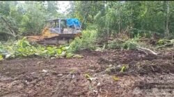 Dari Madiun untuk Ekonomi Hijau Nasional, SWI Canangkan Program Tebu Berkelanjutan