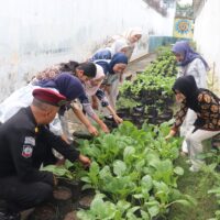 Rutan Kraksaan Produktif, Perkuat Ketahanan Pangan Lewat Budidaya Pertanian