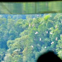 TNI Sukses Terjunkan 90 Helibox Sembako ke Desa Terisolasi Tapanuli Utara