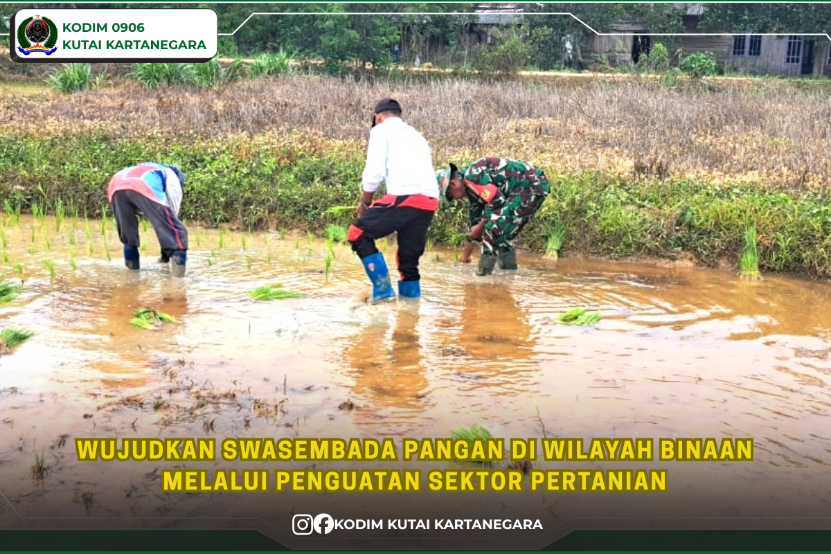 Wujudkan Swasembada Pangan di Wilayah Binaan Melalui Penguatan Sektor Pertanian