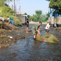 Maksimalkan Pasokan Air Pertanian, Babinsa Karangsari Dan Poktan Margomulyo Bersihkan Saluran Irigasi