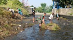 Maksimalkan Pasokan Air Pertanian, Babinsa Karangsari Dan Poktan Margomulyo Bersihkan Saluran Irigasi
