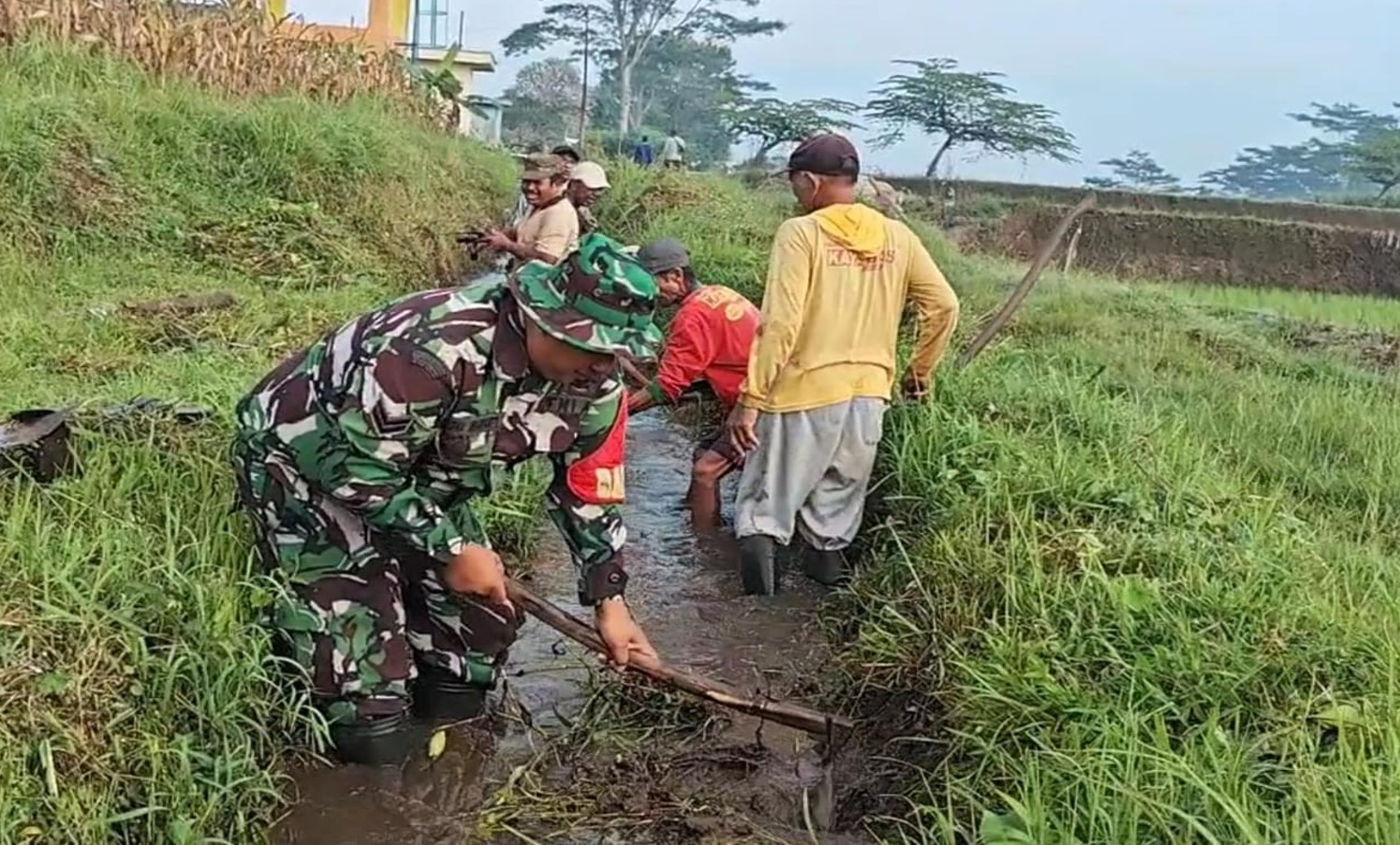 Optimalkan Pasokan Air Sawah, Babinsa Turun Tangan Bersihkan Saluran Irigasi Optimalkan Pasokan Air Sawah, Babinsa Turun Tangan Bersihkan Saluran Irigasi