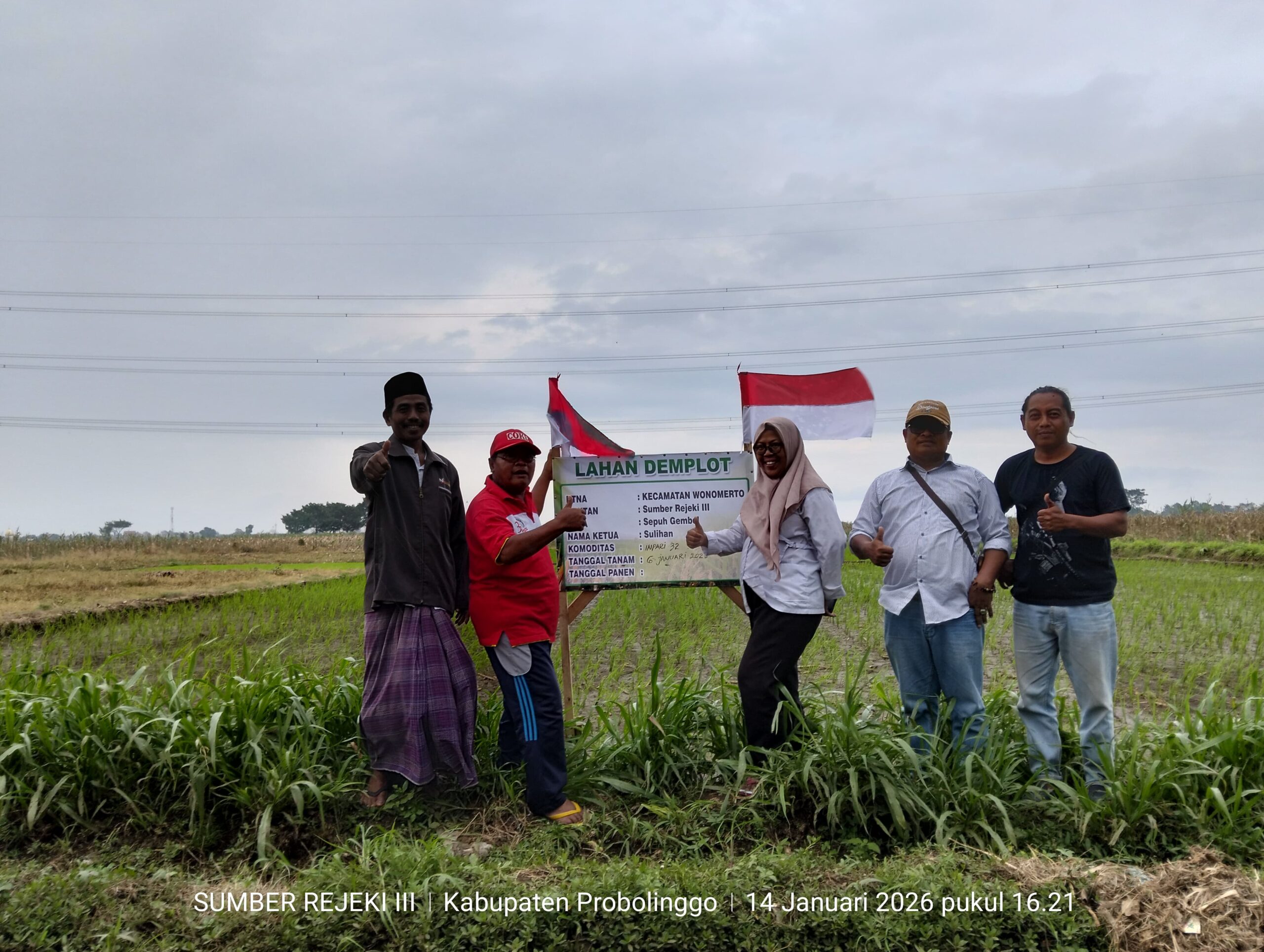 Inpari 32 Jadi Andalan, Penyuluh dan KTNA Wonomerto Dorong Petani Terapkan SOP Budidaya Modern