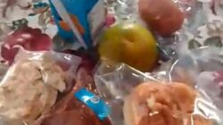 Menu MBG Dinilai Tak Seimbang, Orang Tua Siswa di Leces Minta Kejelasan Anggaran