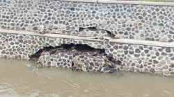 Proyek Talut di Kota Probolinggo Disorot: Bangunan Baru Diduga Bermasalah Sejak Awal