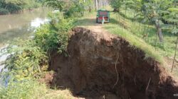 ‎Gerak Cepat BPBD Probolinggo Tinjau Tanggul Jebol di Desa Sukokerto, Alat Berat Segera Diterjunkan!