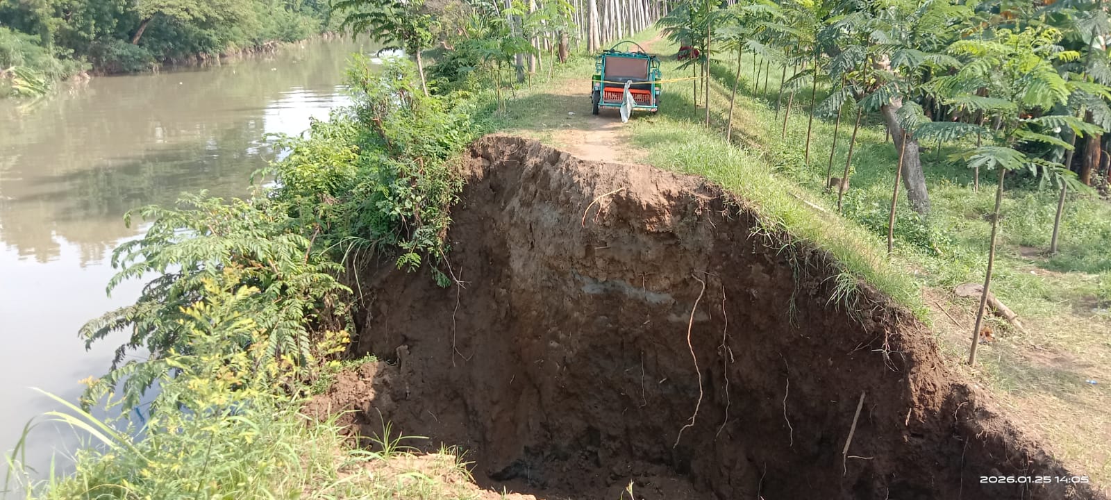 ‎Gerak Cepat BPBD Probolinggo Tinjau Tanggul Jebol di Desa Sukokerto, Alat Berat Segera Diterjunkan!