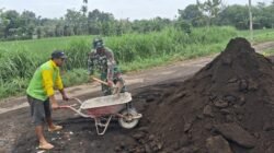 Babinsa Koramil 0820-07/Wonomerto Turun Langsung dalam Perbaikan Jalan Warga Desa Patalan