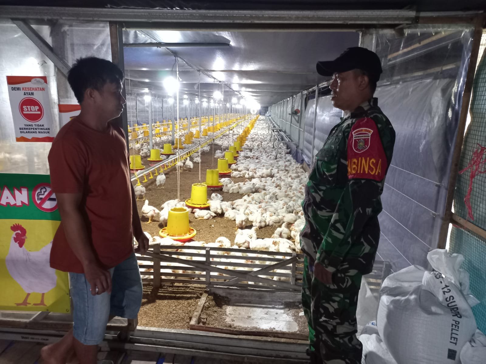 Dekat dengan Warga, Babinsa Sambangi Peternak Ayam Potong di Muara Rintis Dekat dengan Warga, Babinsa Sambangi Peternak Ayam Potong di Muara Rintis