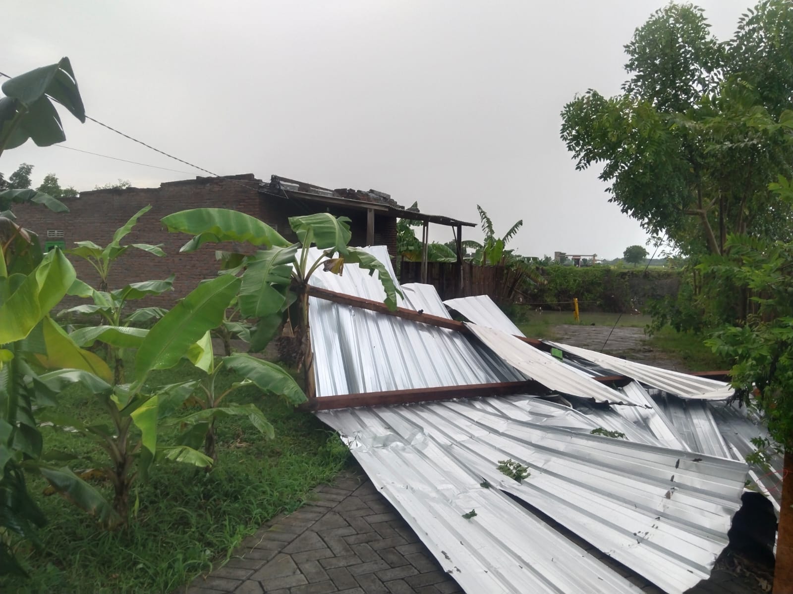 Puting Beliung Terjang Desa Penambangan Probolinggo, Satu Rumah Warga Ambruk Puting Beliung Terjang Desa Penambangan Probolinggo, Satu Rumah Warga Ambruk