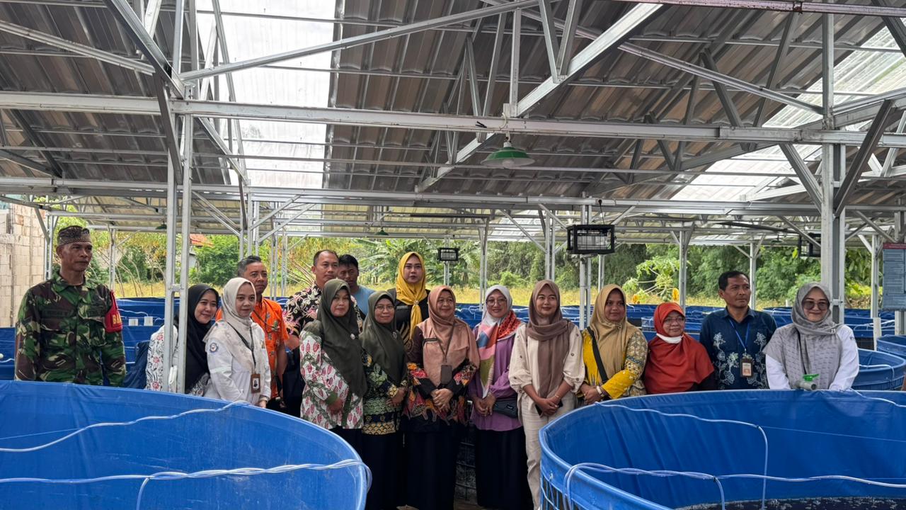 Memperkuat Ketahanan Pangan, Koramil Wonoasih Melakukan Pendampingan Penebaran Benih Ikan Lele Memperkuat Ketahanan Pangan, Koramil Wonoasih Melakukan Pendampingan Penebaran Benih Ikan Lele