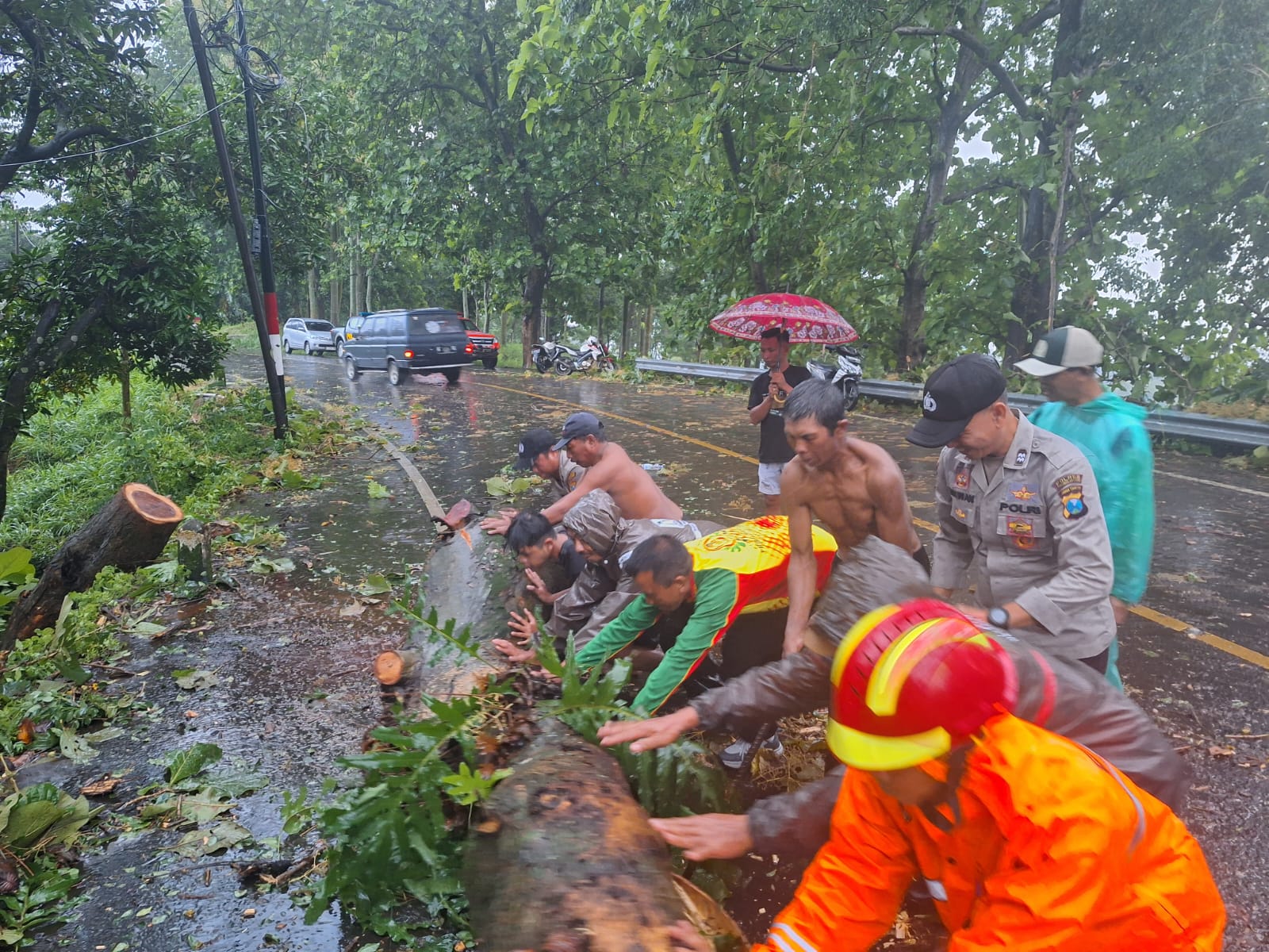 Respon Cepat Polres Probolinggo Evakuasi Pohon Tumbang, Arus Lalu Lintas Kembali Lancar Respon Cepat Polres Probolinggo Evakuasi Pohon Tumbang, Arus Lalu Lintas Kembali Lancar
