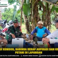 Melalui Komsos, Babinsa Serap Aspirasi dan Kendala Petani di Lapangan