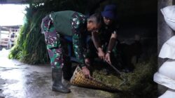 TMMD Ke 127 Tak Hanya Bangun Rumah, Jembatan Dan Jalan, Prajurit TNI Turut Juga Bantu Warga Perah Susu Sapi