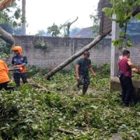 Anggota Koramil 0808/06 Srengat Bersama Warga, Polsek Dan BPBD Gotong Royong Bersihkan Pohon Tumbang Di Desa Purwokerto