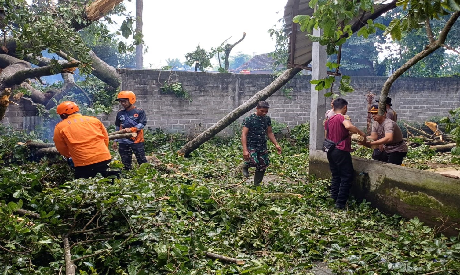 Anggota Koramil 0808/06 Srengat Bersama Warga, Polsek Dan BPBD Gotong Royong Bersihkan Pohon Tumbang Di Desa Purwokerto