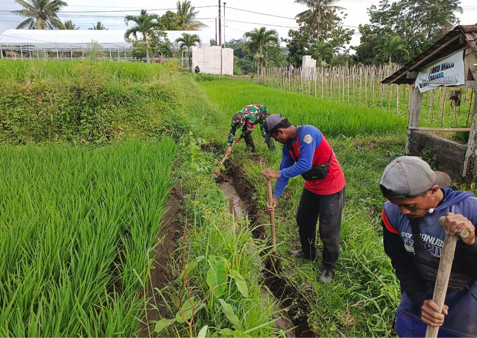 Guna Optimalkan Produksi Padi, Babinsa Dan Petani Resapombo Sinergi Bersihkan Lahan Pertanian