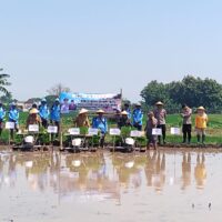 Percepat Tanam Padi, Poktan Sedap Malam Tiga Manfaatkan Alsintan