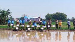 Percepat Tanam Padi, Poktan Sedap Malam Tiga Manfaatkan Alsintan